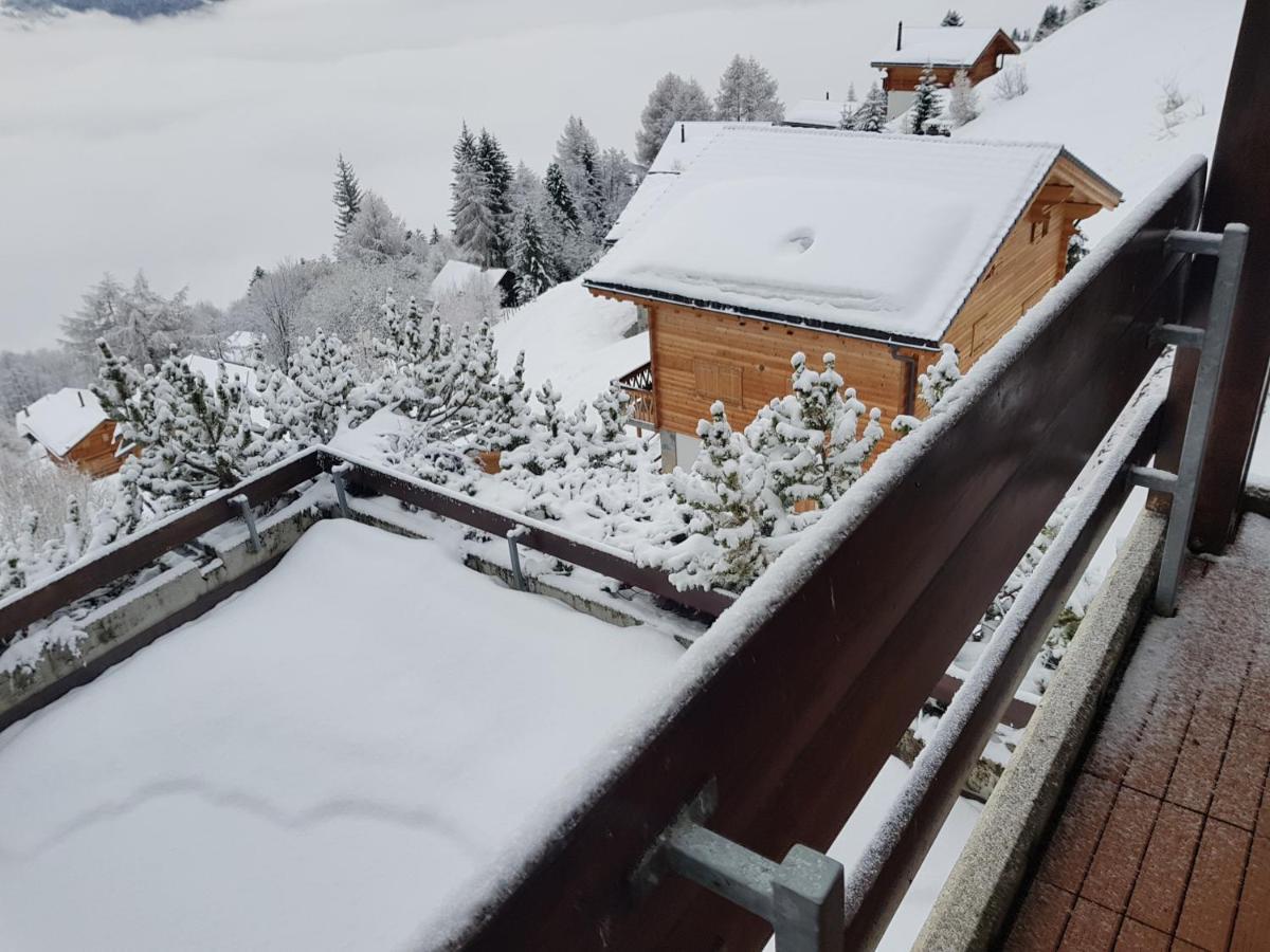 Les Collons1800- Bel Appart 2Pieces-4 Pers-Piscine-Sauna-Parking Int-Wifi Gratuit Vex Bagian luar foto